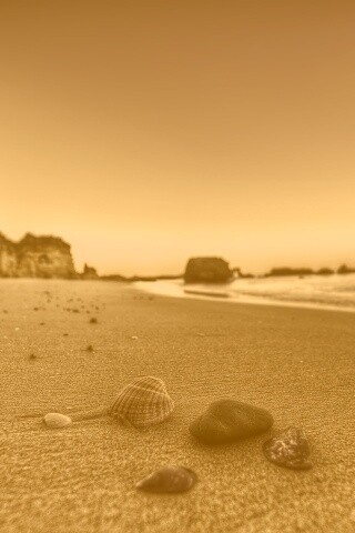 Океанский берег обои