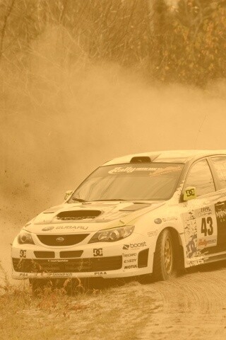 Раллийная гонка обои