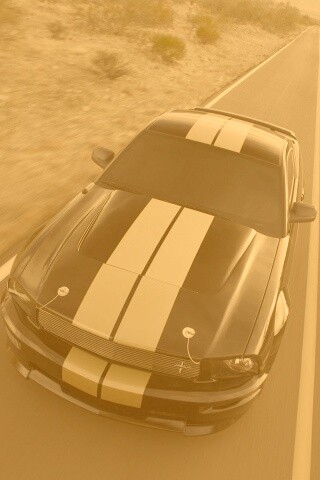 Ford Mustang  с гоночными полосками обои