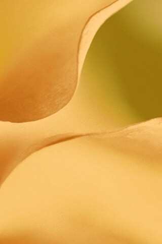 Оттенки природы обои