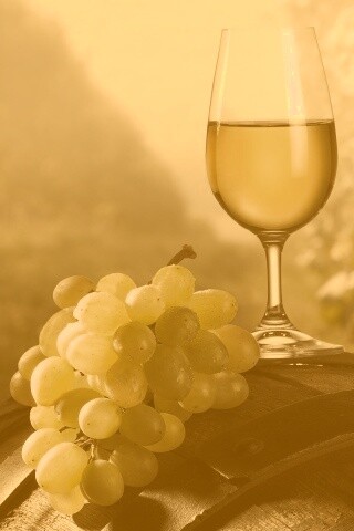 Винная бочка и бокал с белым вином обои