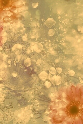 Цветочная эйфория обои