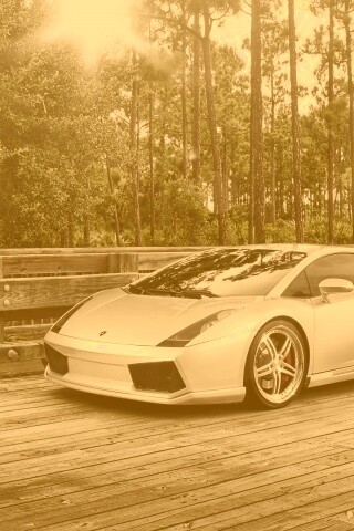 Ламбоджини на мосту в лесу обои