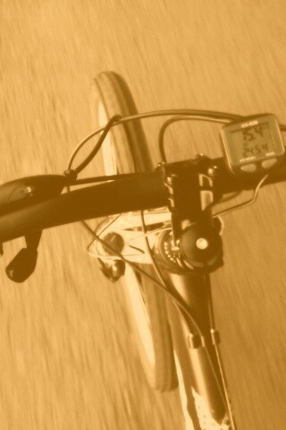 Катание на велосипеде обои