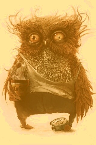 Не спящая сова обои