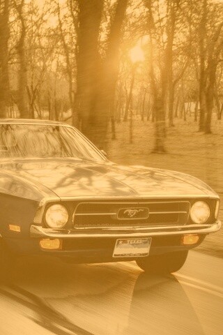 Мустанг обои