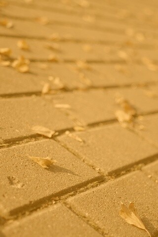 Тротуар обои