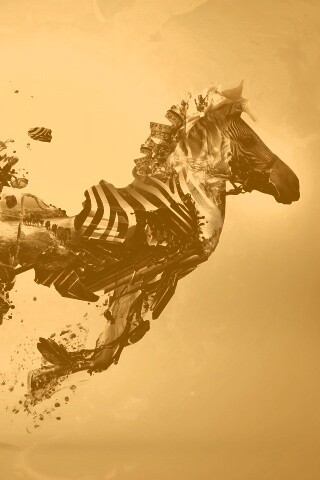 Зебра и бонсай обои