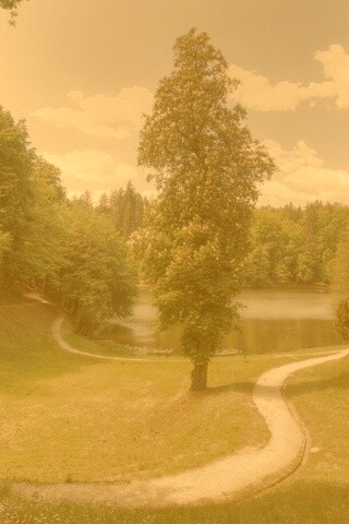 Прекрасная природа обои