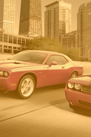 Два розовых мускулкара обои