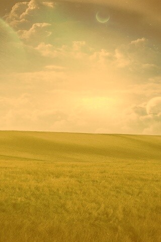 Луг на другой планете обои