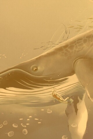 Кит и девушка обои