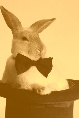 Кролик в цилиндре фокусника обои