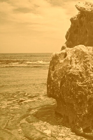 Коралловый риф обои