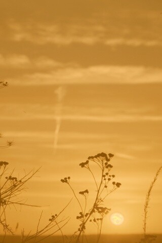 Степной закат обои