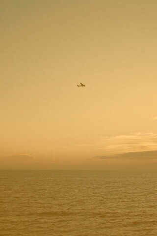 Паращий над морем обои