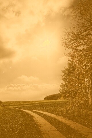 Солнечные холмы обои