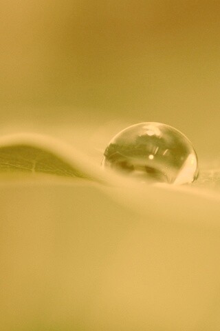 Фотография капли воды в макро обои