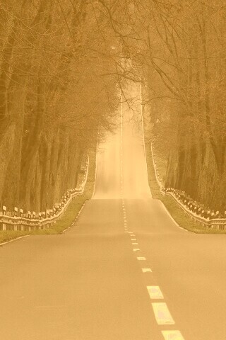 Дорога уходит ввысь обои