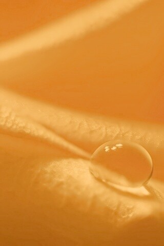 Капелька обои