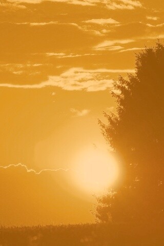 Теплый закат над полем обои