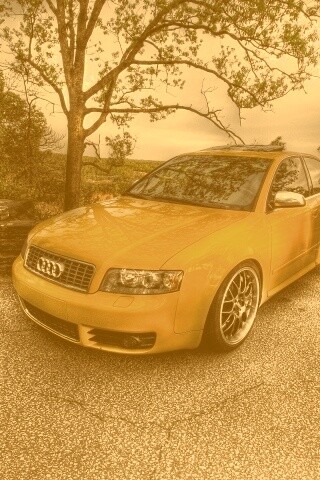 Желтый Ауди на дороге обои