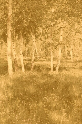 Левитан "Берёзовая роща" обои