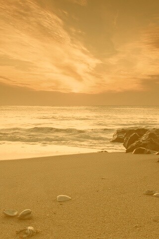 Красивый пляж обои