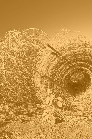 Клубок сена обои