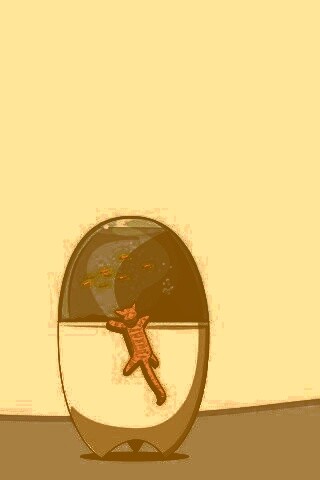 Кот прыгает на аквариум обои