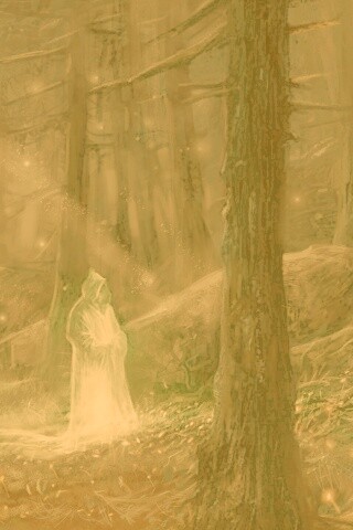 Маг света в лесу обои