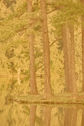 Островок посреди озера обои