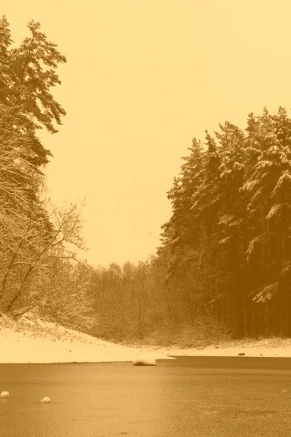 Зимняя дорога обои