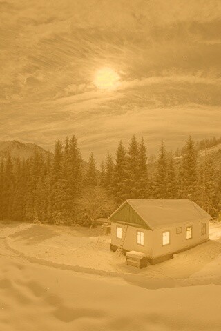 Один в зимнем лесу обои