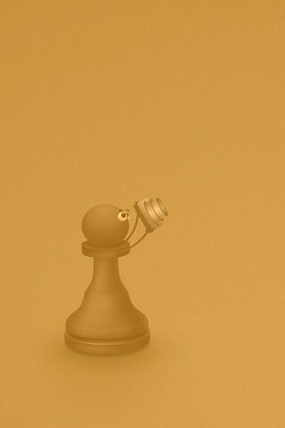 Пешка фотографирует короля обои
