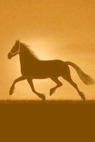 Силует коня на закате обои