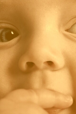 Что-то замышляет... обои