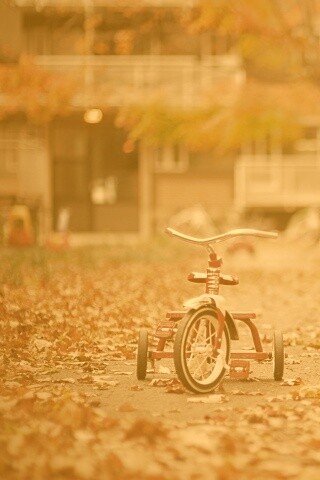 Трёхколёсный друг на осенней дорожке обои