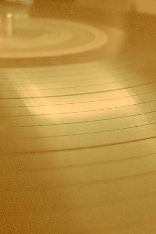 Пластинка обои