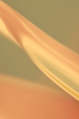 Лиловая абстракция обои