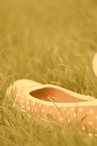 Красные тапки в горошек обои