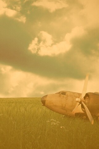 Старый ржавый самолет на лугу обои