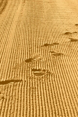 Следы на песке обои