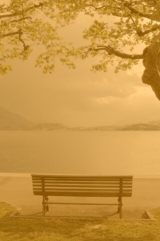 Скамейка на берегу обои