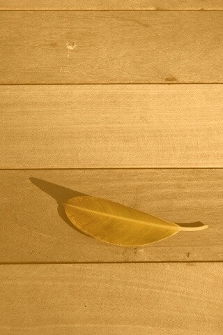 Лист на деревянном полу обои