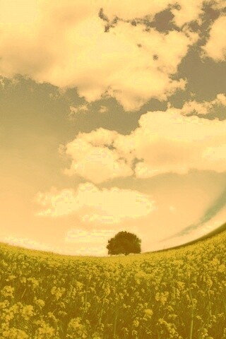 Искаженный мир обои