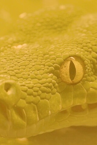 Страшно красивая обои