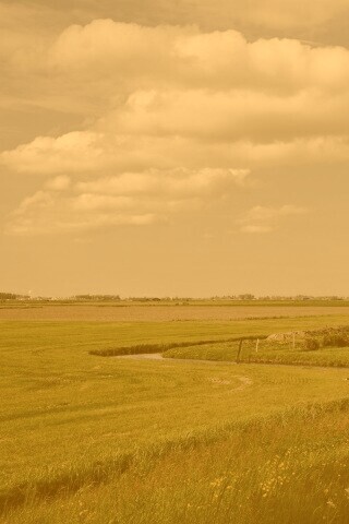 дом на лугу обои