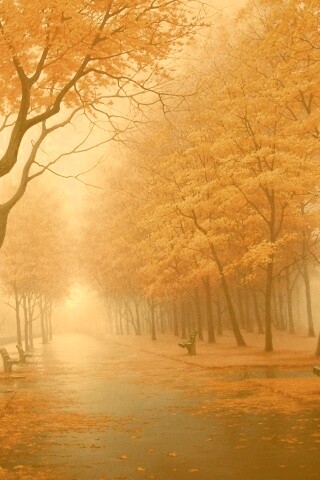 Дорога в осень обои