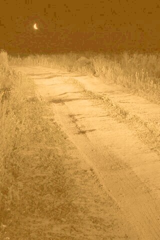 Ночная дорога обои